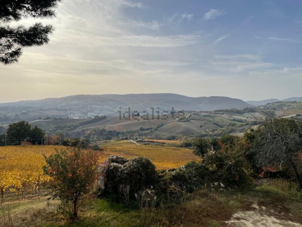 appartamento in vendita a Staffolo