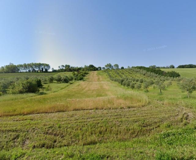 appartamento in vendita a Trecastelli in zona Ripe