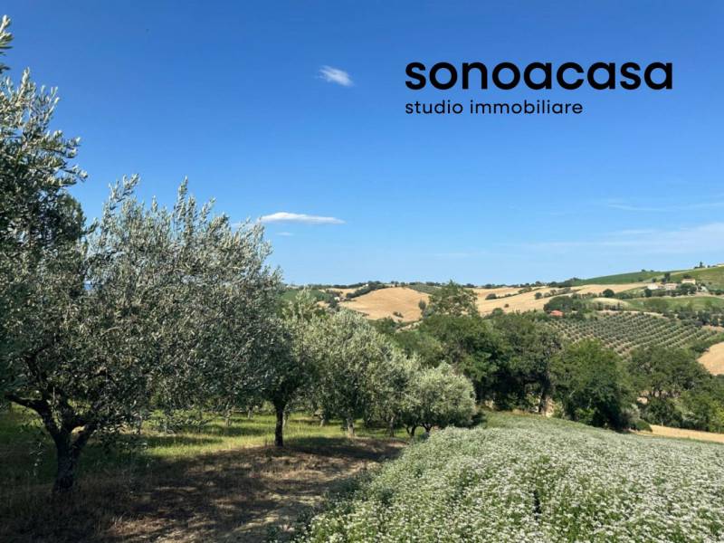 appartamento in vendita a Trecastelli in zona Monterado