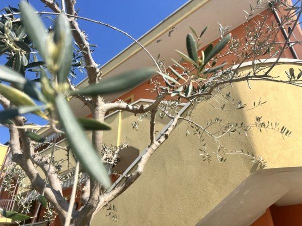 appartamento in vendita a Trecastelli