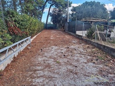 terreno agricolo in vendita a Trecastelli in zona Francavilla