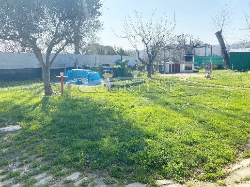 casa indipendente in vendita a Trecastelli