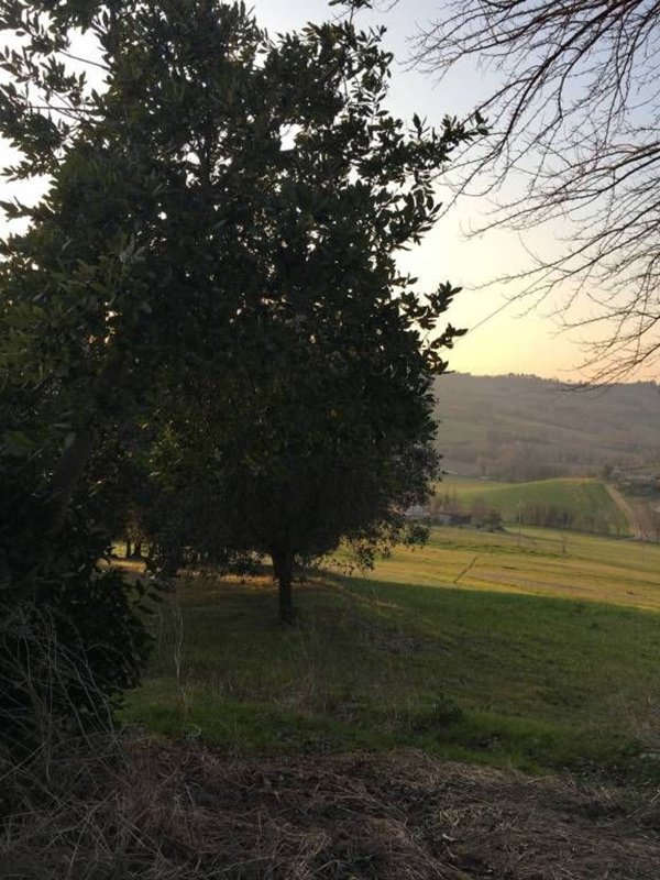 pentavano in vendita a Trecastelli in zona Ripe