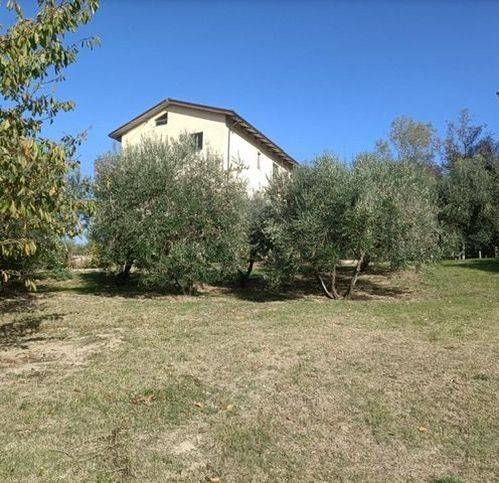 casa indipendente in vendita a Trecastelli in zona Monterado