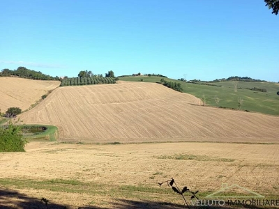 terreno agricolo in vendita a Trecastelli in zona Francavilla
