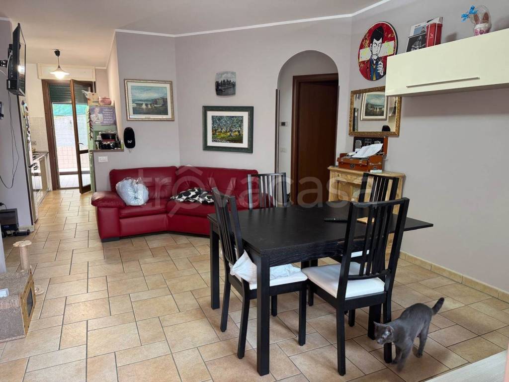 appartamento in vendita a Trecastelli in zona Ripe