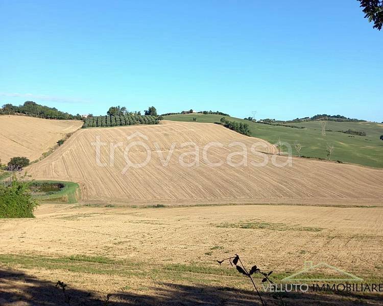 terreno agricolo in vendita a Trecastelli in zona Francavilla