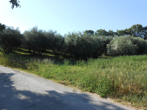 ufficio in vendita a Trecastelli