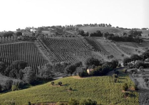 casa indipendente in vendita a Trecastelli