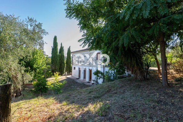 casa indipendente in vendita a Trecastelli in zona Monterado