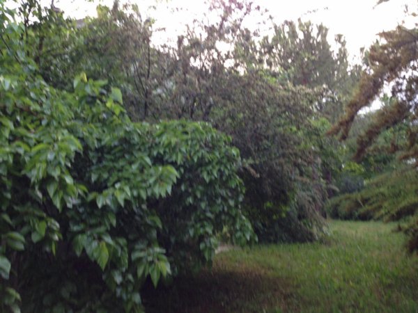 casale in vendita a Trecastelli in zona Ripe