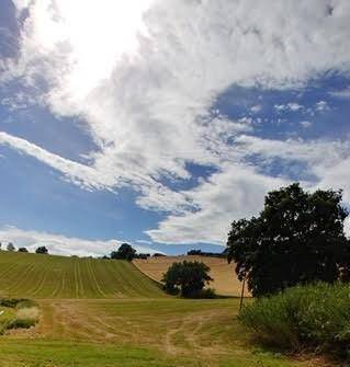 terreno agricolo in vendita a Trecastelli in zona Ripe