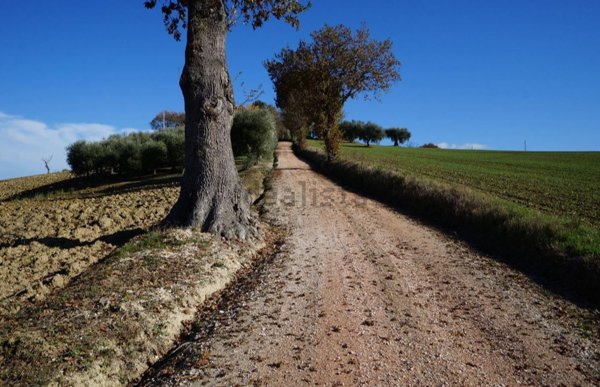 casa indipendente in vendita a Trecastelli