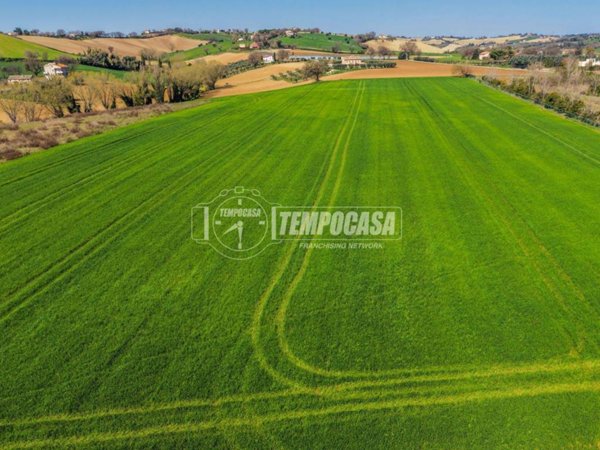 terreno agricolo in vendita a Trecastelli