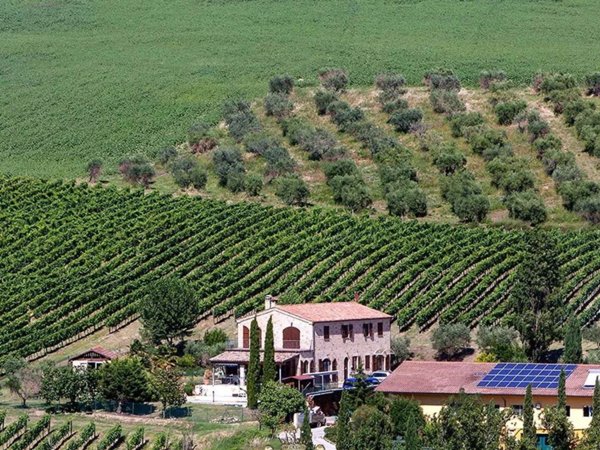 casa indipendente in vendita a Trecastelli