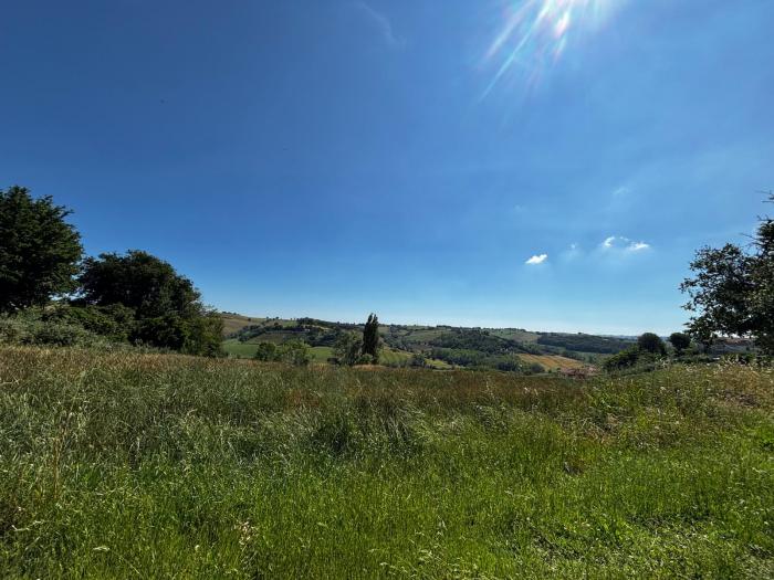 terreno agricolo in vendita a Trecastelli