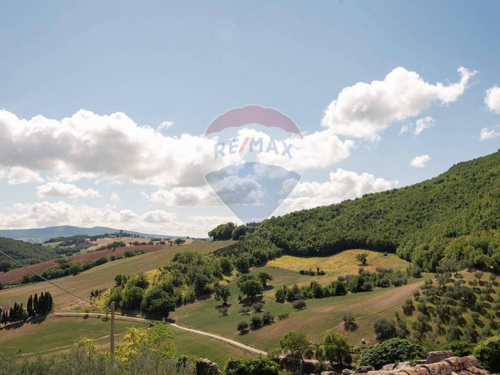 terreno agricolo in vendita ad Apiro