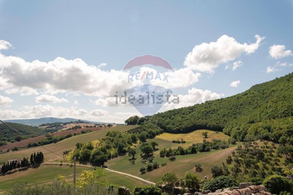 terreno agricolo in vendita ad Apiro