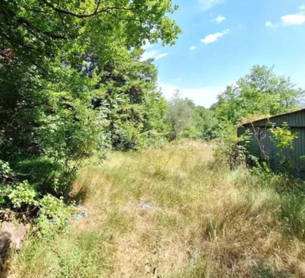 terreno agricolo in vendita ad Apiro