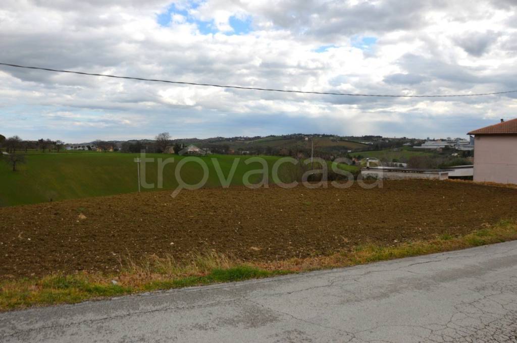 terreno agricolo in vendita ad Appignano