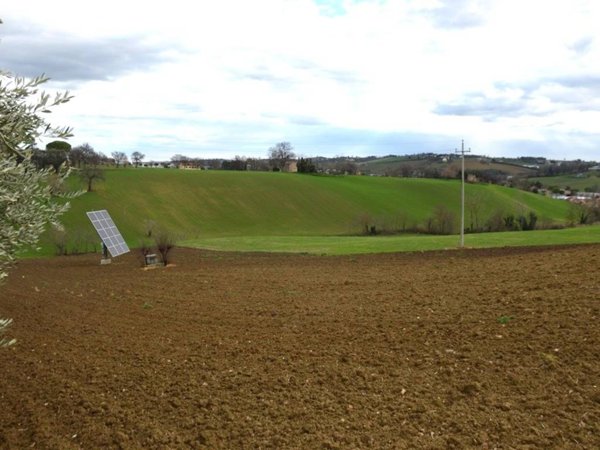 terreno agricolo in vendita ad Appignano