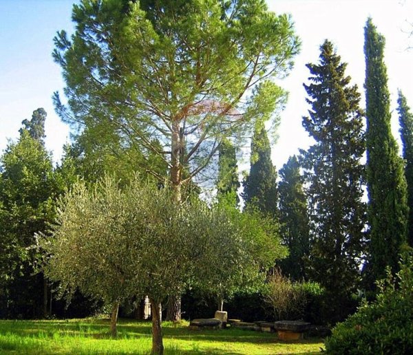 casa indipendente in vendita ad Appignano