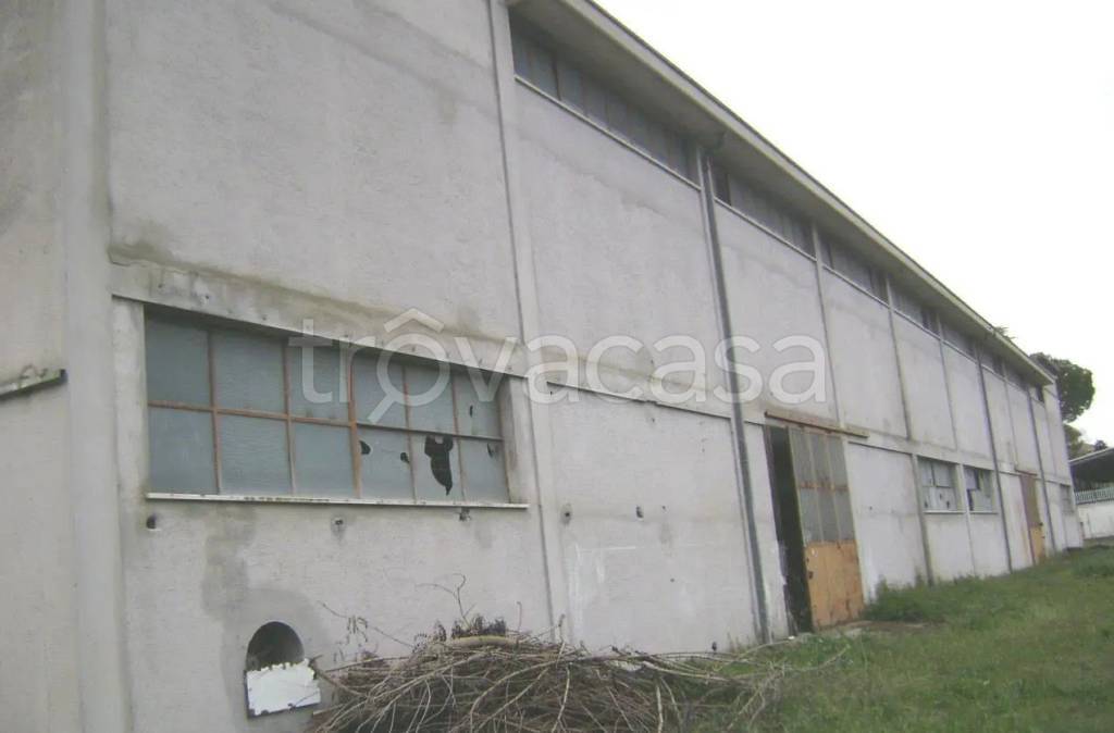 locale commerciale in vendita ad Appignano