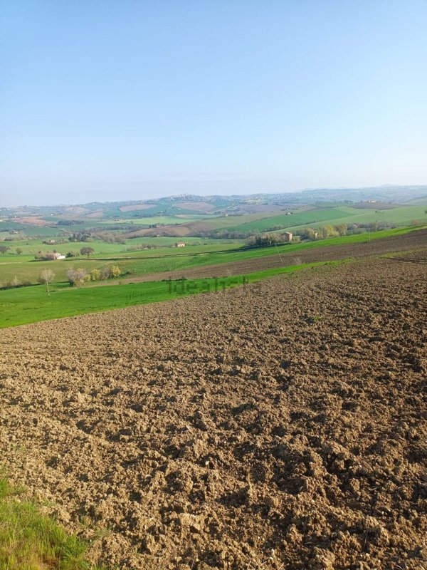 terreno agricolo in vendita ad Appignano