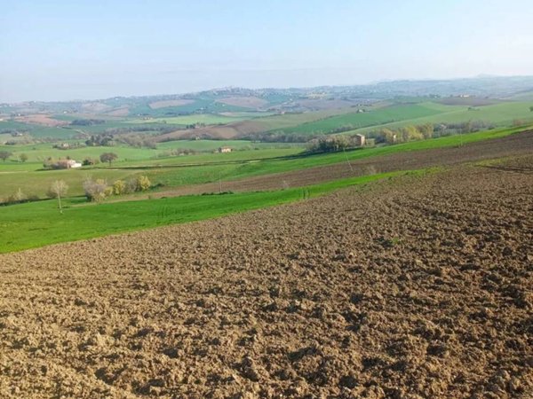 terreno agricolo in vendita ad Appignano