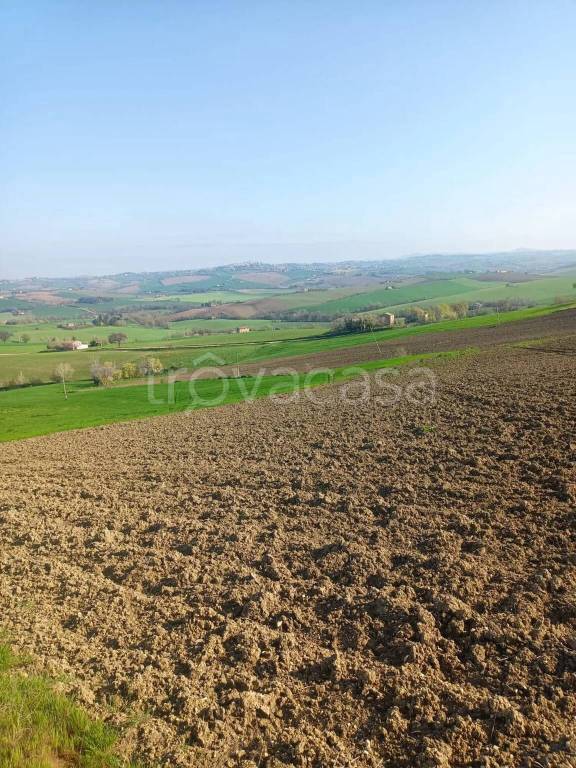 terreno agricolo in vendita ad Appignano