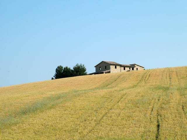 terreno agricolo in vendita ad Appignano