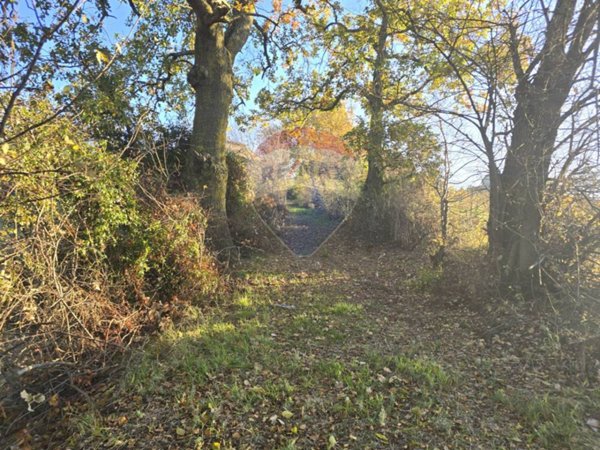 casa indipendente in vendita ad Appignano