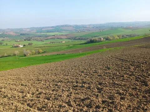 terreno agricolo in vendita ad Appignano in zona Forano