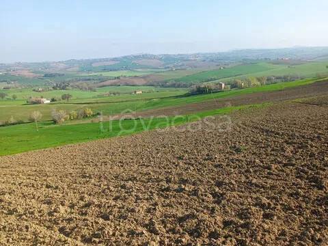terreno agricolo in vendita ad Appignano