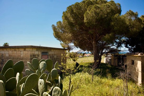 terreno agricolo in vendita a Caldarola in zona Croce