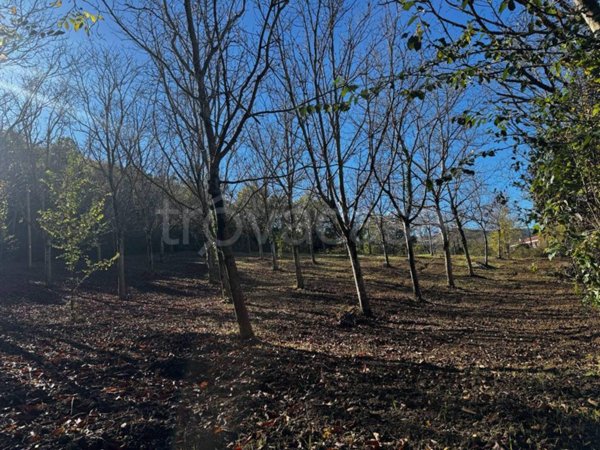 terreno agricolo in vendita a Caldarola