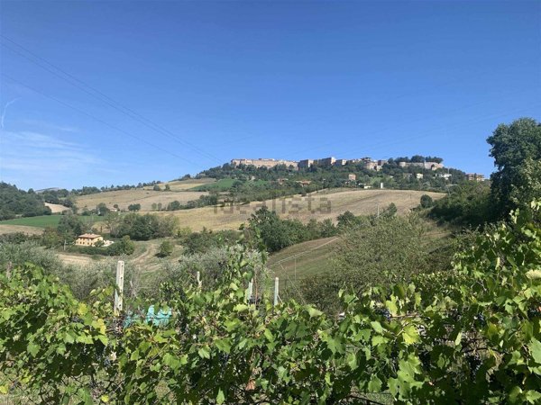 terreno agricolo in vendita a Camerino in zona Caselle
