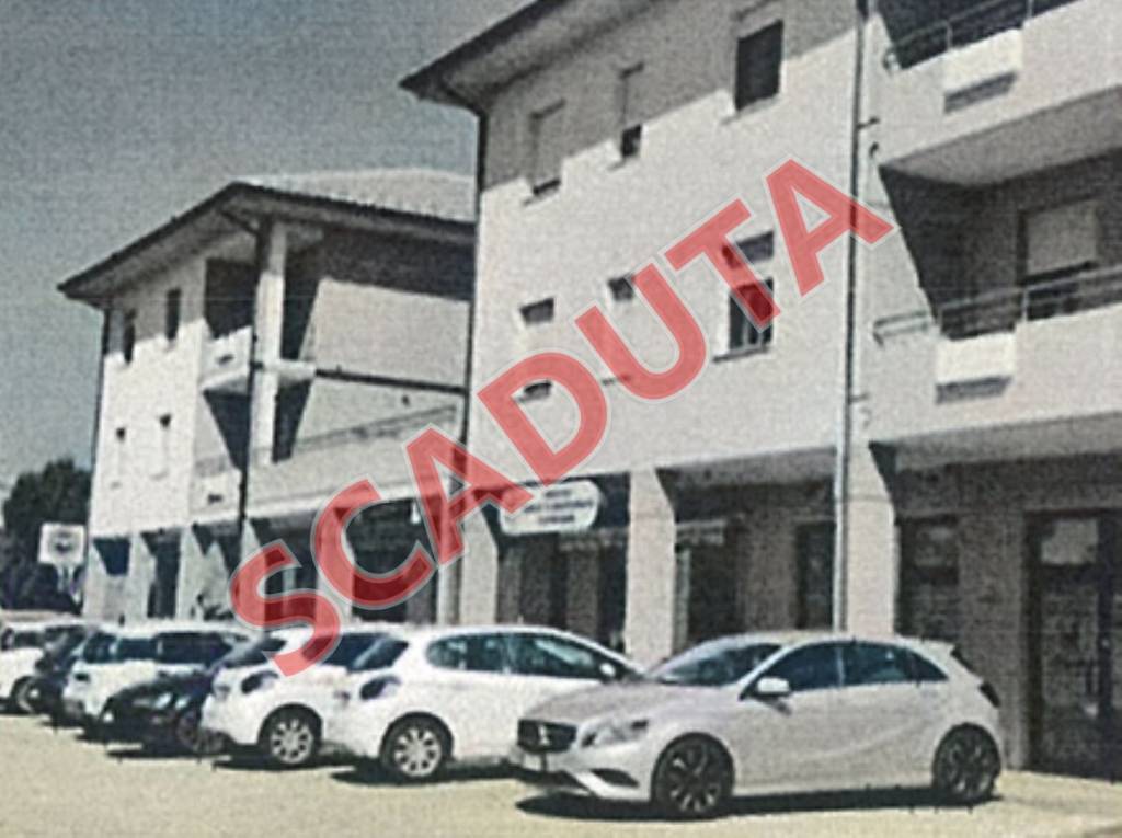 immagine annuncio 0 di 13