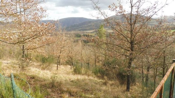 terreno agricolo in vendita a Camerino