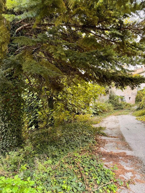 casa indipendente in vendita a Cessapalombo