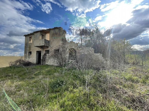 esavano in vendita a Cingoli