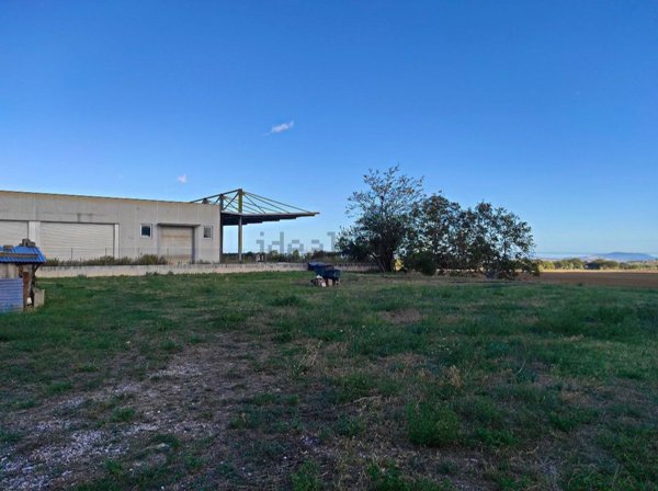 capannone in vendita a Cingoli