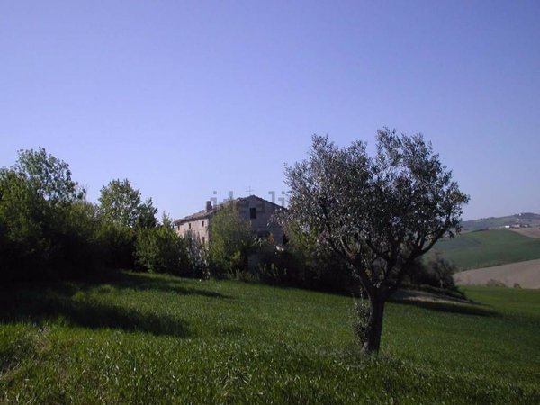 casa indipendente in vendita a Cingoli