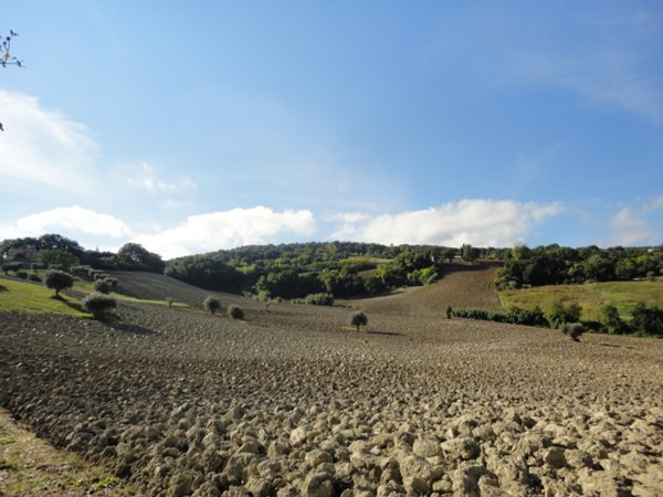 terreno agricolo in vendita a Cingoli in zona Strada