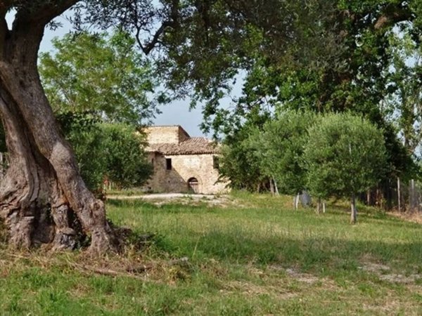 casa indipendente in vendita a Cingoli