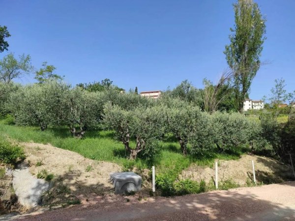 terreno agricolo in vendita a Cingoli in zona Torre
