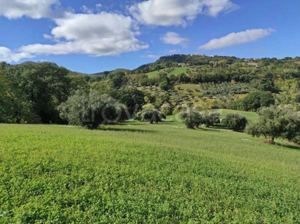 terreno agricolo in vendita a Cingoli in zona Strada