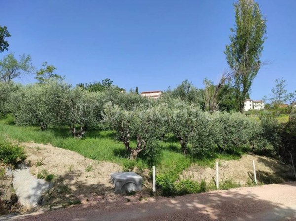 terreno agricolo in vendita a Cingoli in zona Pozzo