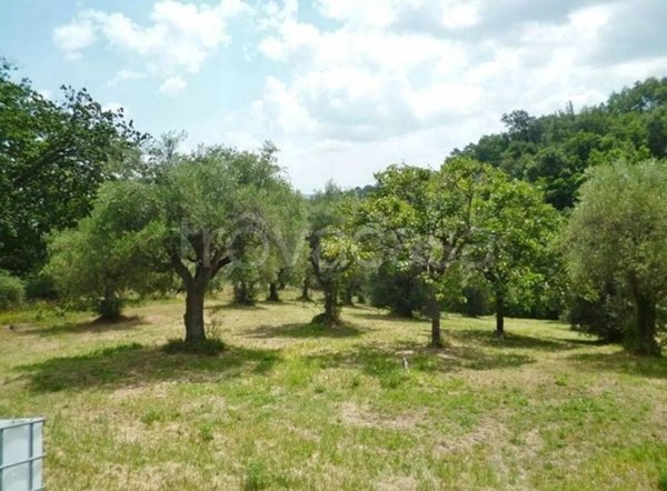 terreno agricolo in vendita a Cingoli in zona Strada
