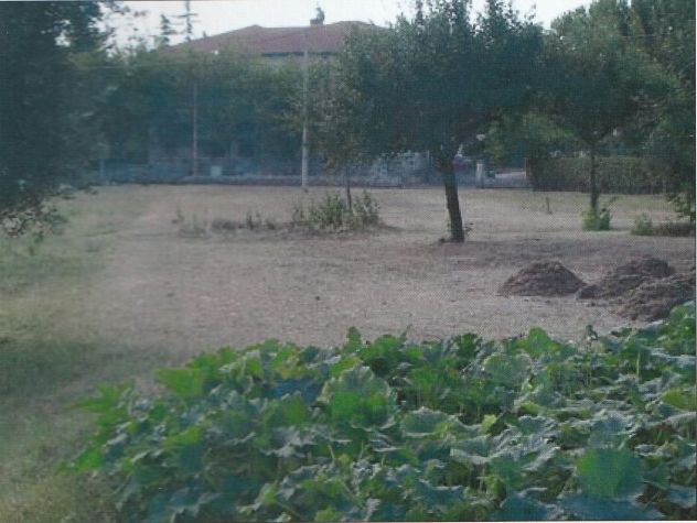 terreno agricolo in vendita a Cingoli in zona Strada